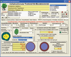 Berechnung der Bruchsicherheit nach SIA